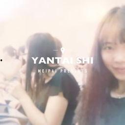 爱吃的小猫被爆料视频在线观看,爱吃美食的萌宠爆笑视频大公开